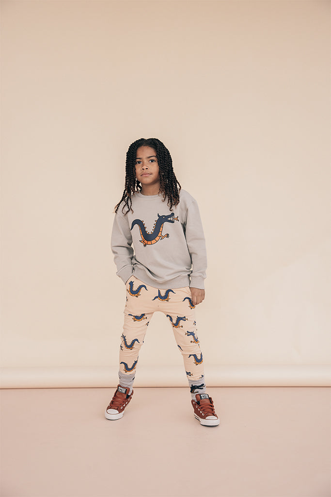 The organic cotton sweater with Dragon print is a must-have for every kid's wardrobe, comfortable and soft, made with organic cotton by CarlijnQ.