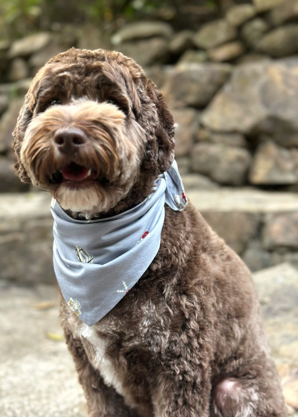 Sustainable bamboo Christmas dog bandana with festive Love of Gifting design