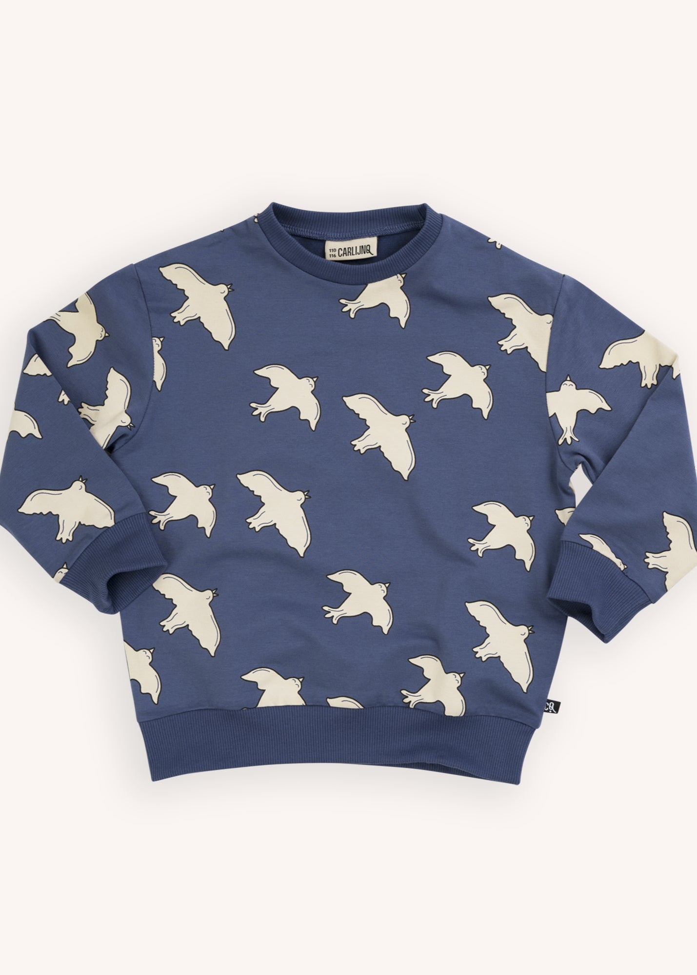 Organic cotton kids jumper with bird print. Shope the best sustainable kids clothing at MiliMilu Lifestyle, the best kids brand in Hong Kong and loved in Asia.