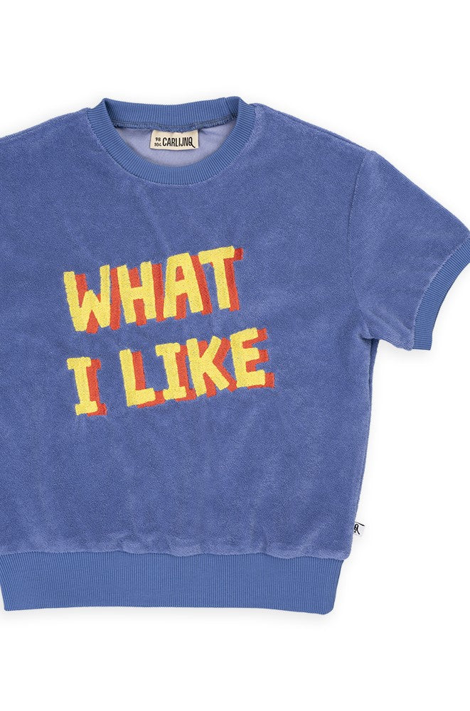 Boys terry T shirt in Blue