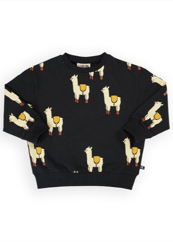 Organic cotton kids and and teen jumper with Alpaca print at MiliMilu Lifestyle. Our sustainable kids clothing offer wide selection of clothing for every taste.