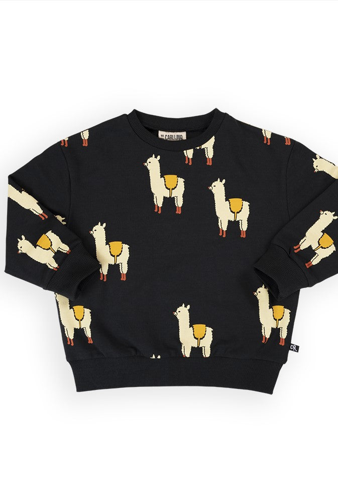 Shop organic cotton kids and and teen clothing at MiliMilu. Our sustainable kids clothing offer wide selection of clothing for every taste. Our organic cotton kids jumper with Alpaca print is easy to wear and practical.